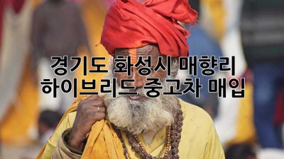 경기도 화성시 매향리 하이브리드 중고차 매입